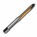 Champion Cutting Tool #2-64 - 321T Spiral Point Taps, Plug Taps, 64 TPI , HSS w/ Titanium Nitride Surface Treatment, 12PK CHA 321T-2-64